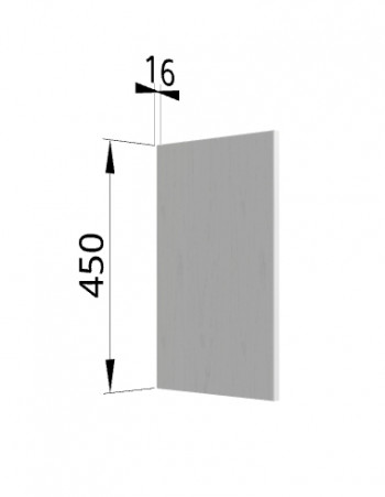 Панель торцевая (для шкафа горизонтального высокого) ВПГ Ройс (Графит софт) в Восходе - voskhod.mebel54.com | фото